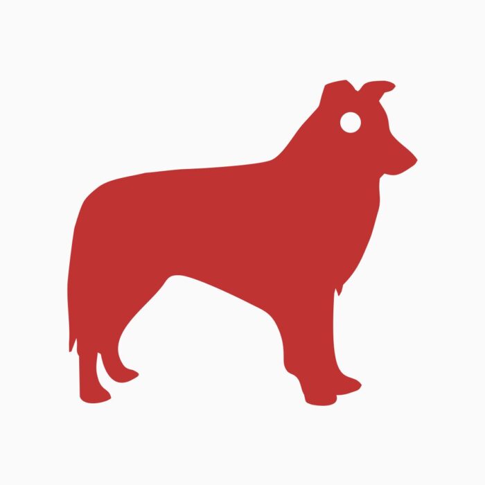 Chaveiro Border Collie - Imagem 1
