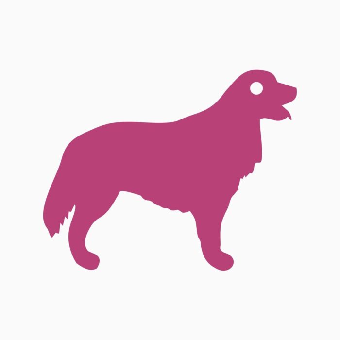 Chaveiro Golden Retriever - Imagem 1