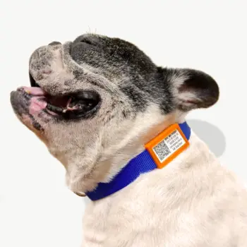 Tag de Identificação com QR Code - Clip Tag - Petscan